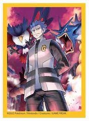 Pokemon Cyrus Sleeves